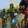 IMG_1568 (2)